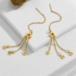 Five pointen starry sky earrings | stainless steel and color guaranteed